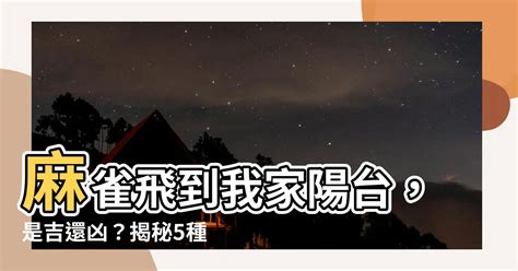 麻雀飛到陽台|一隻麻雀飛進家裡預示,麻雀飛進家裡代表什麼意思？